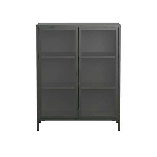 Benzion 39.96-inch Black Two Door Storage Cabinet with Clear Doors