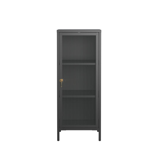 Benoite 40.02-inch Black One Door Storage Cabinet with Fluted Clear Door and Gold Handle