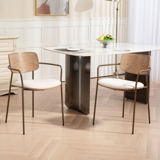 Set of 2 Bernadine Beige Washed Woven Fabric Dining Chair with Natural Wood Back and Iron Arms and Legs