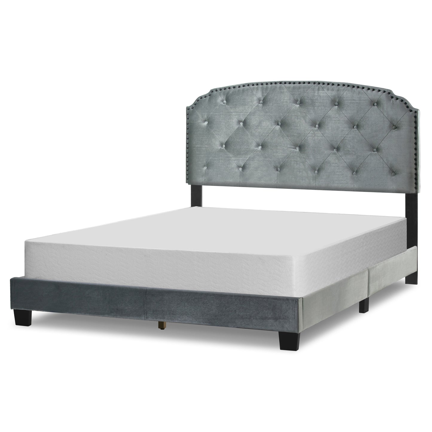 Arin Silver Gray Velvet Queen Bed with Button Tufting and Black Nail Head Trim