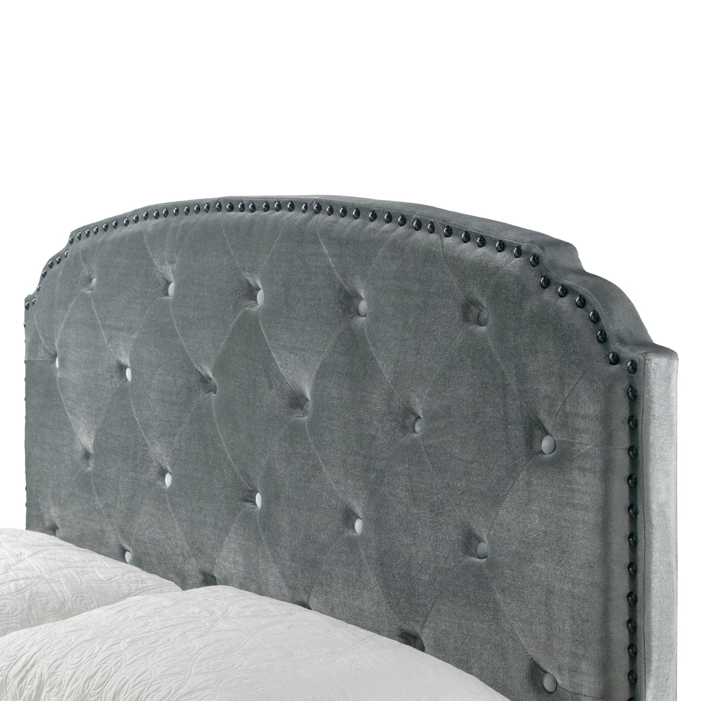 Arin Silver Gray Velvet Queen Bed with Button Tufting and Black Nail Head Trim