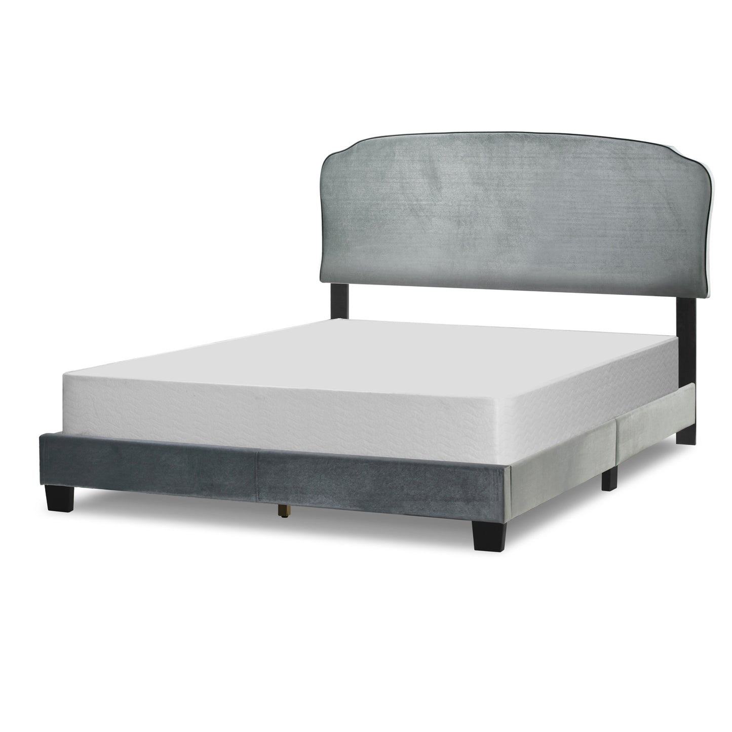 Aric Silver Gray Velvet Queen Bed with Contrasting Piping Accent