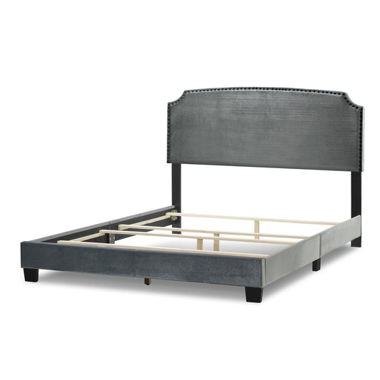 Arezo Silver Gray Velvet Queen Bed with Black Nail Head Trim