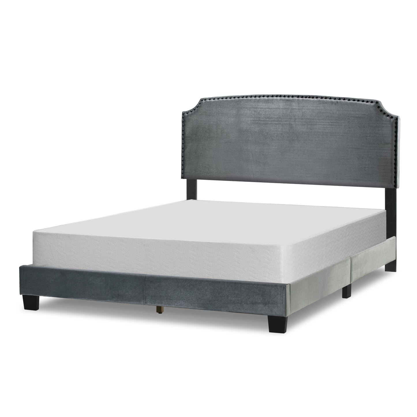 Arezo Silver Gray Velvet Queen Bed with Black Nail Head Trim