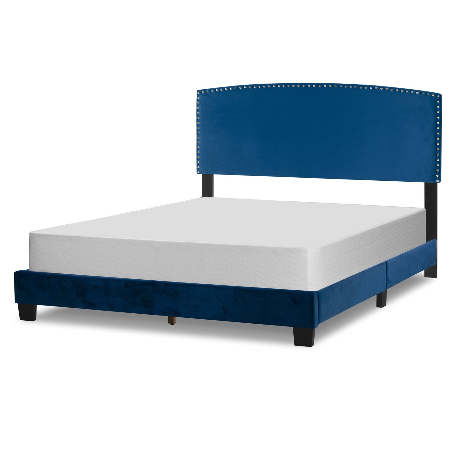 Ausca Navy Blue Velvety Fabric Queen Bed with Nail Head Trim