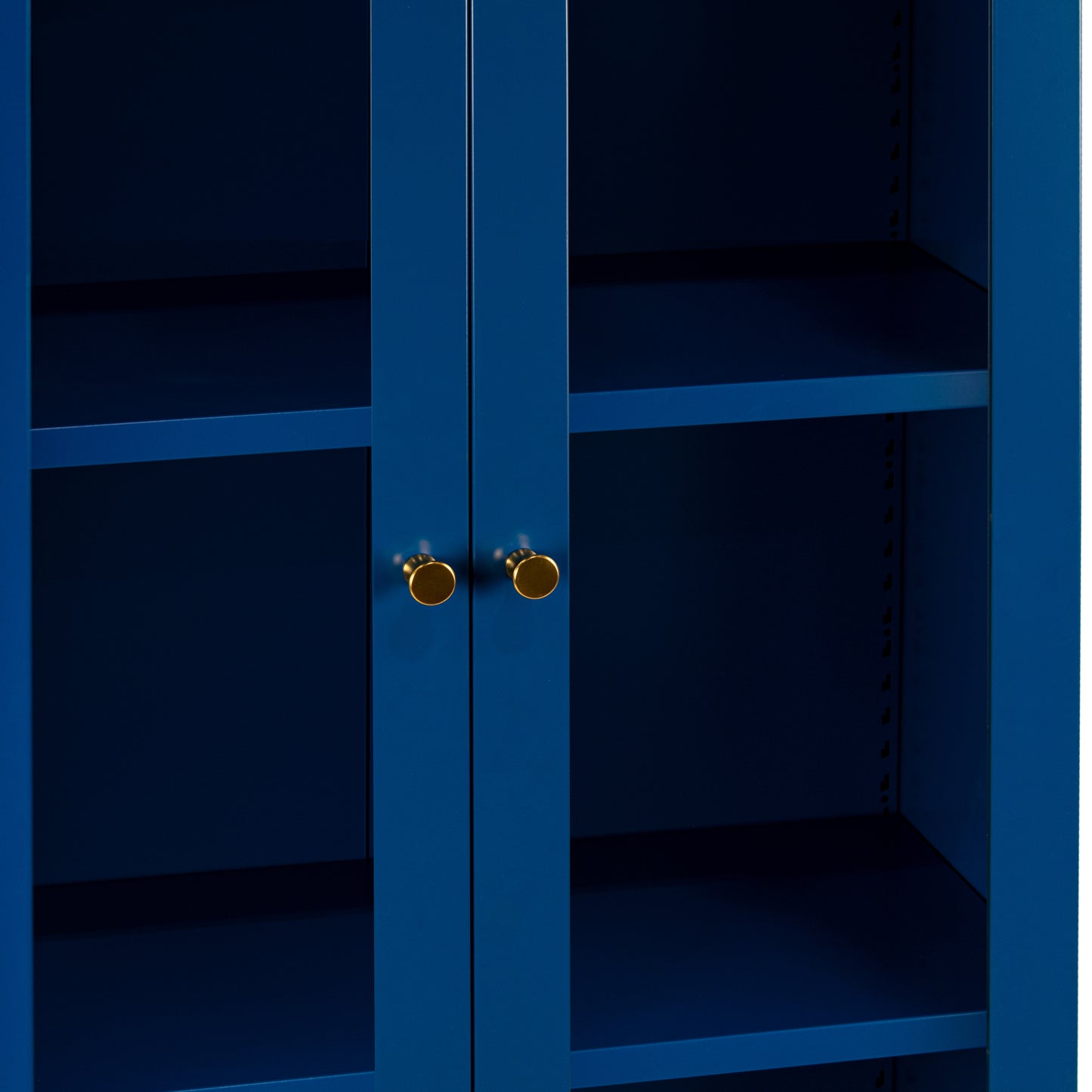 Avice 59-inch Blue French Door Metal Cabinet