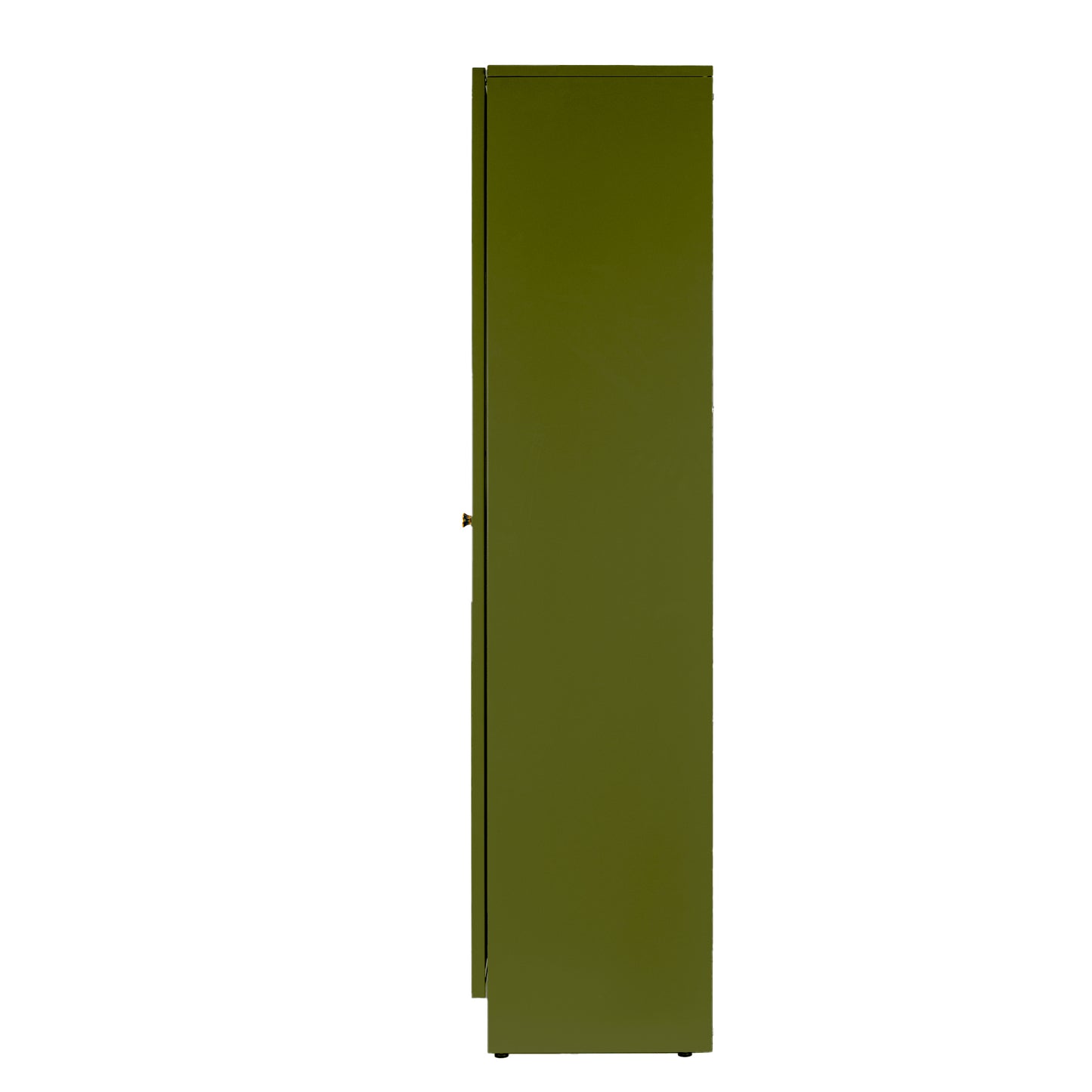 Avice 59-inch Dark Green French Door Metal Cabinet