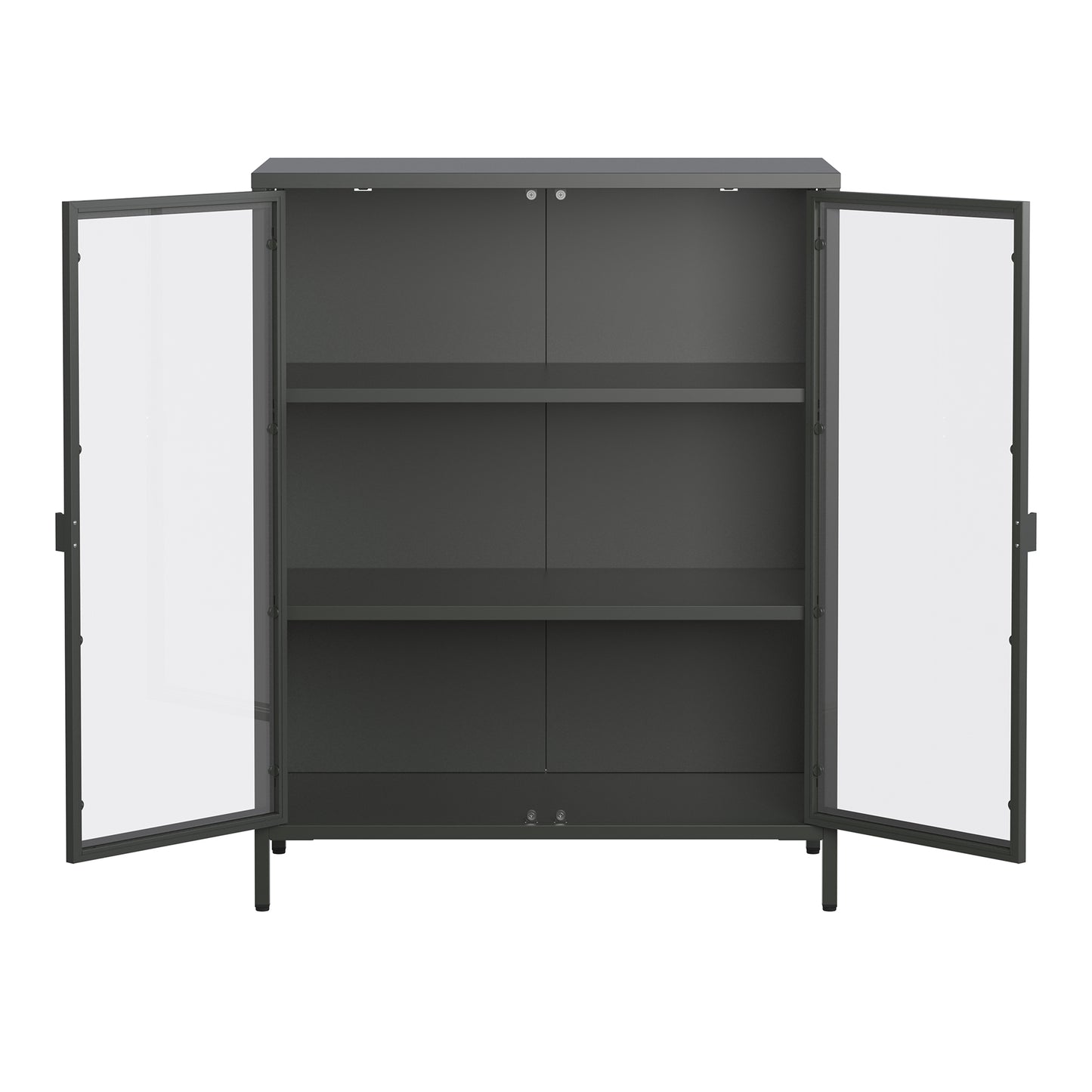 Benzion 39.96-inch Black Two Door Storage Cabinet with Clear Doors