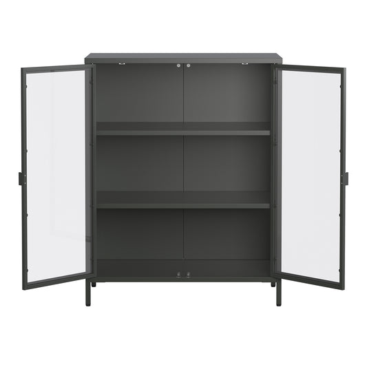 Benzion 39.96-inch Black Two Door Storage Cabinet with Clear Doors
