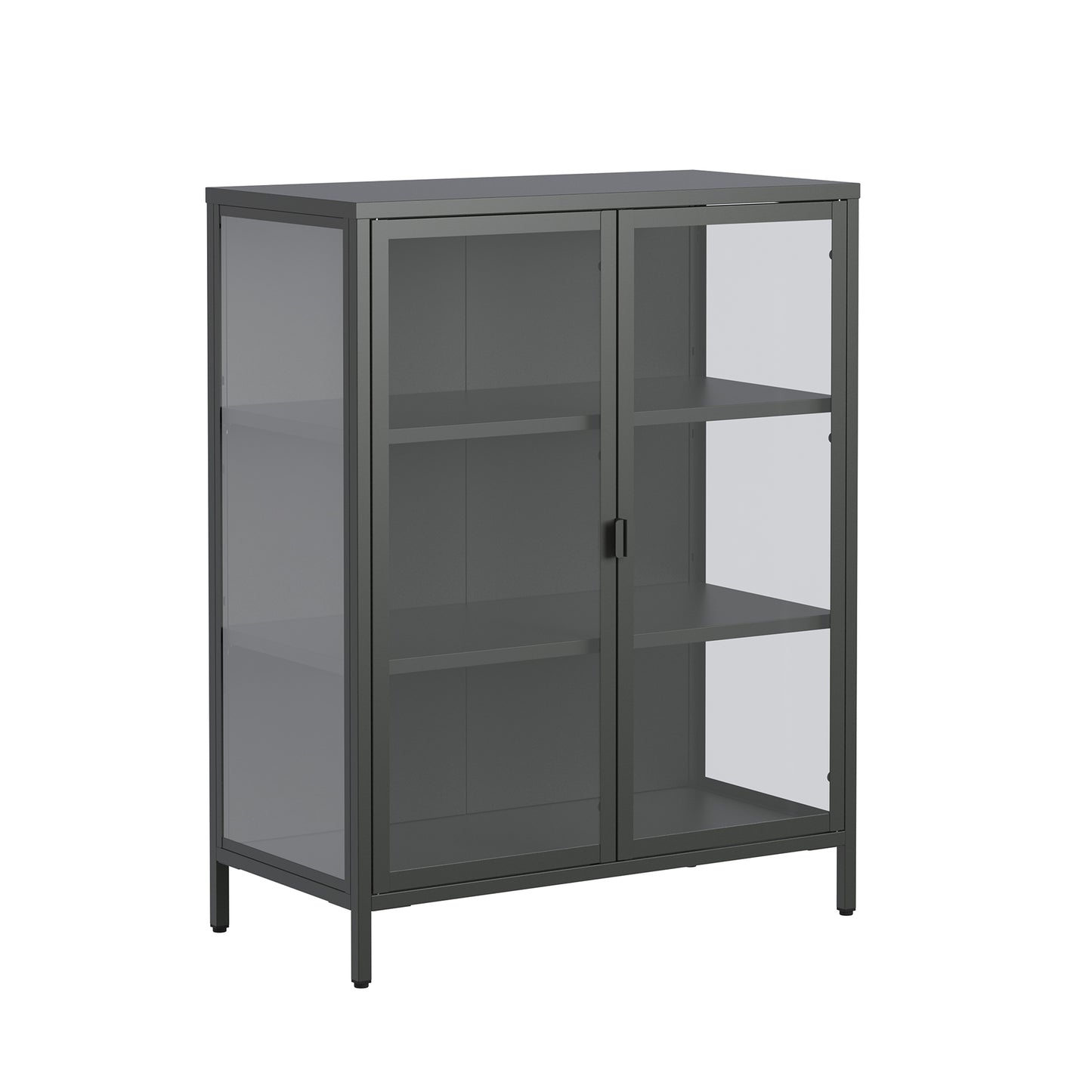 Benzion 39.96-inch Black Two Door Storage Cabinet with Clear Doors