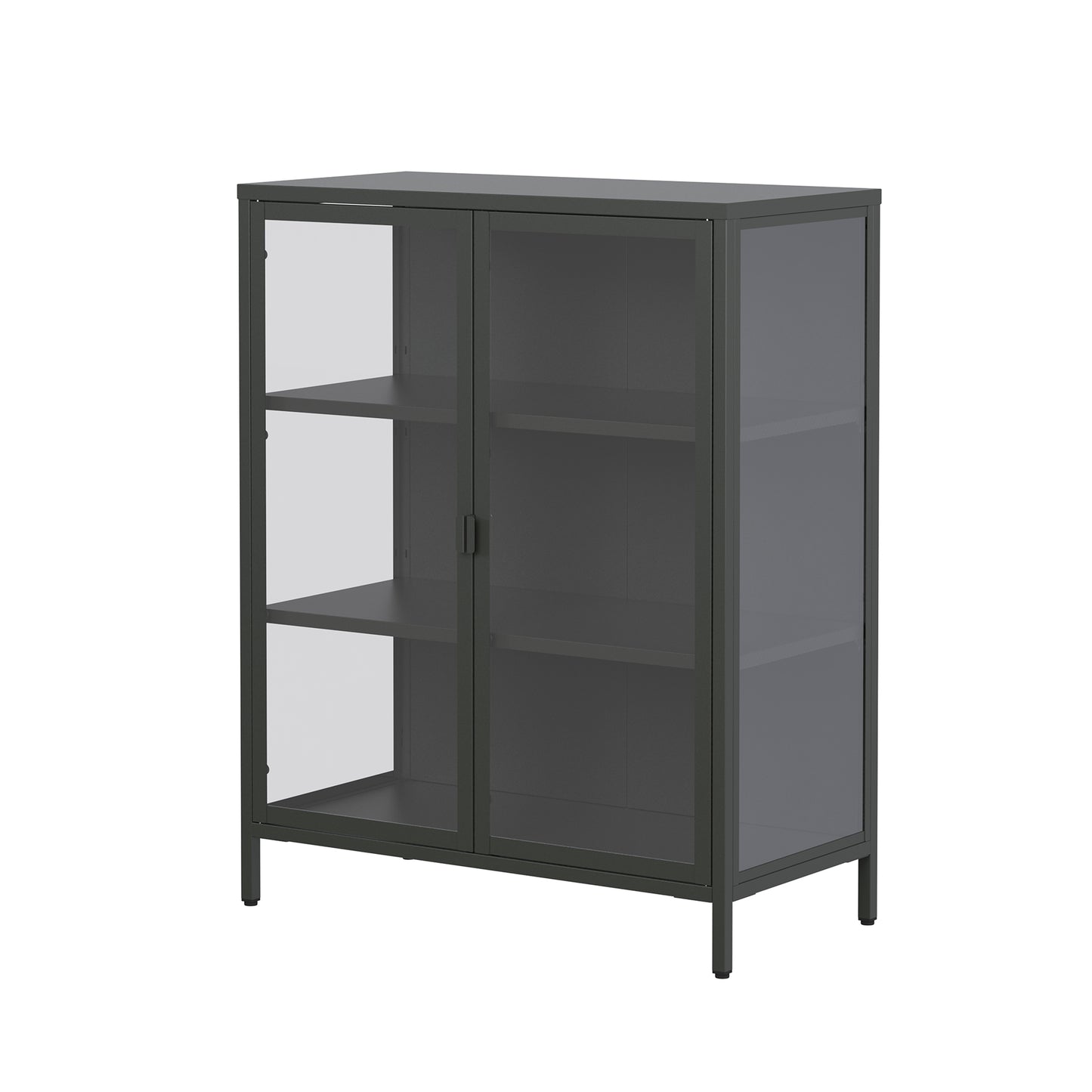 Benzion 39.96-inch Black Two Door Storage Cabinet with Clear Doors