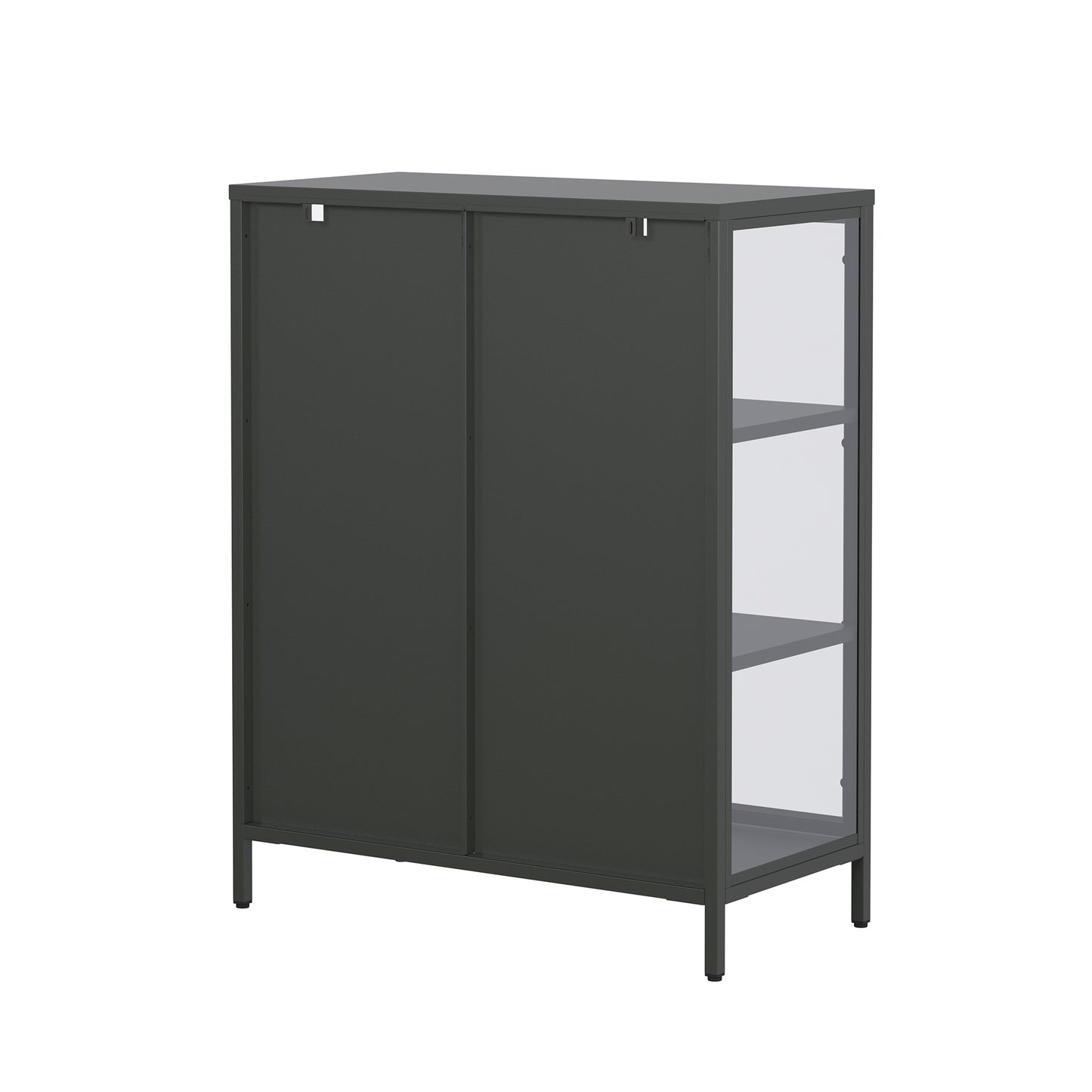 Benzion 39.96-inch Black Two Door Storage Cabinet with Clear Doors