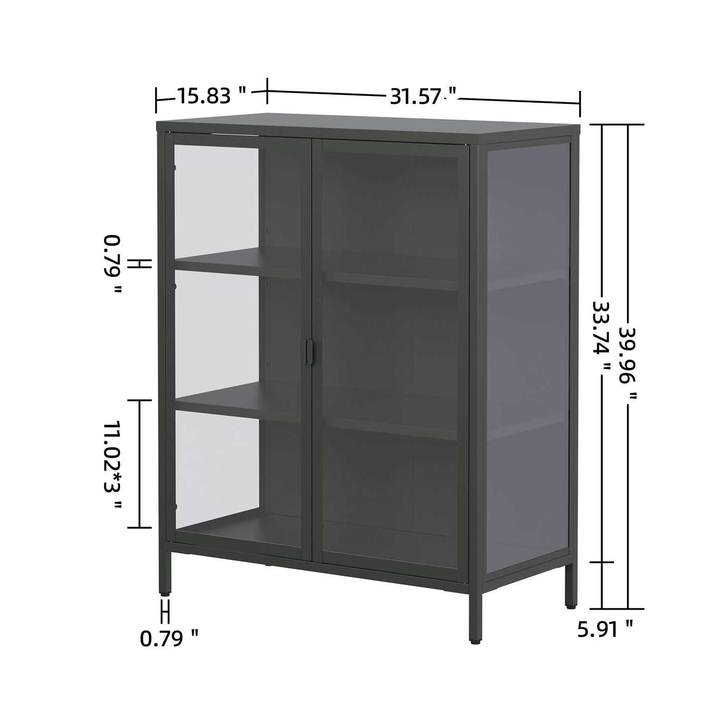 Benzion 39.96-inch Black Two Door Storage Cabinet with Clear Doors