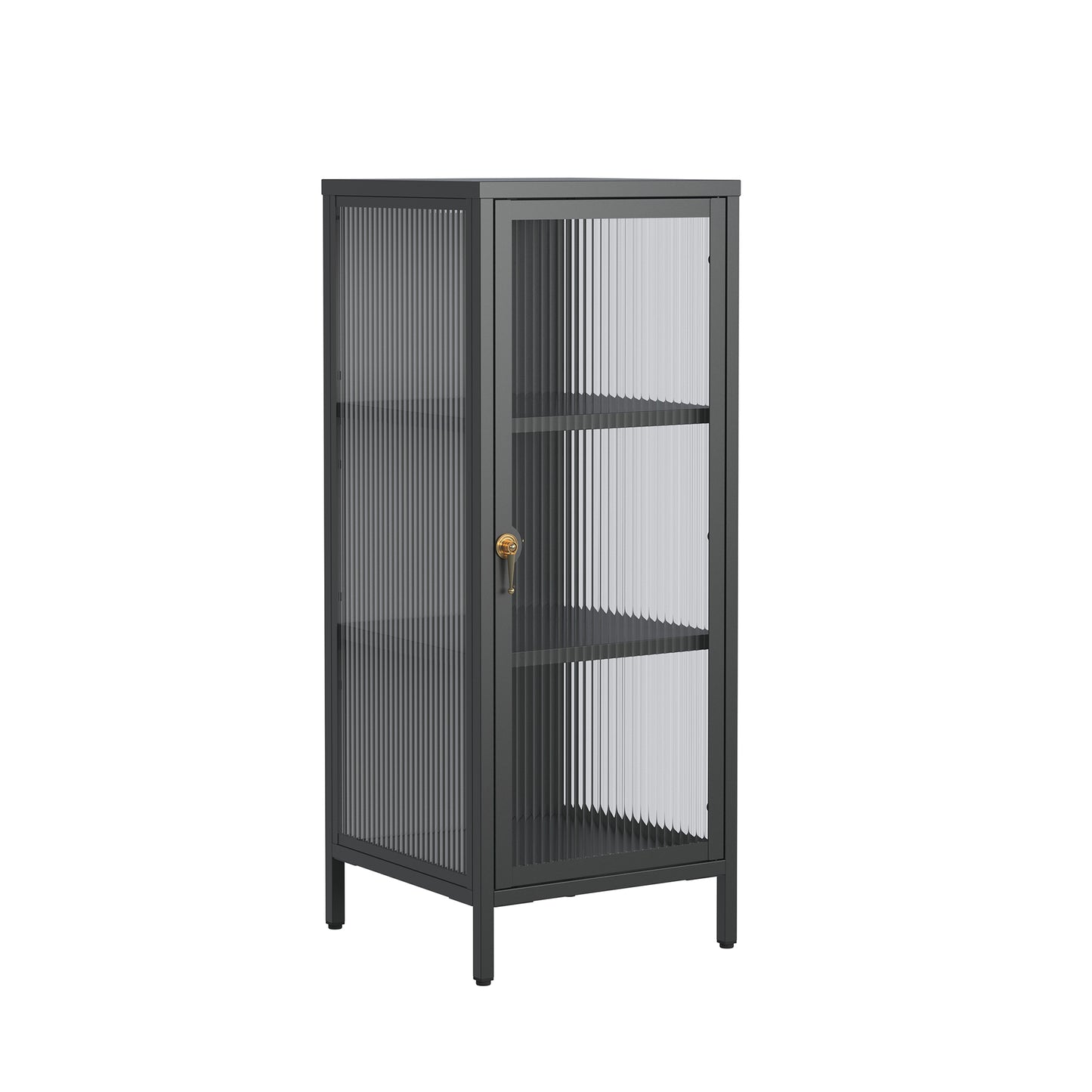 Benoite 40.02-inch Black One Door Storage Cabinet with Fluted Clear Door and Gold Handle