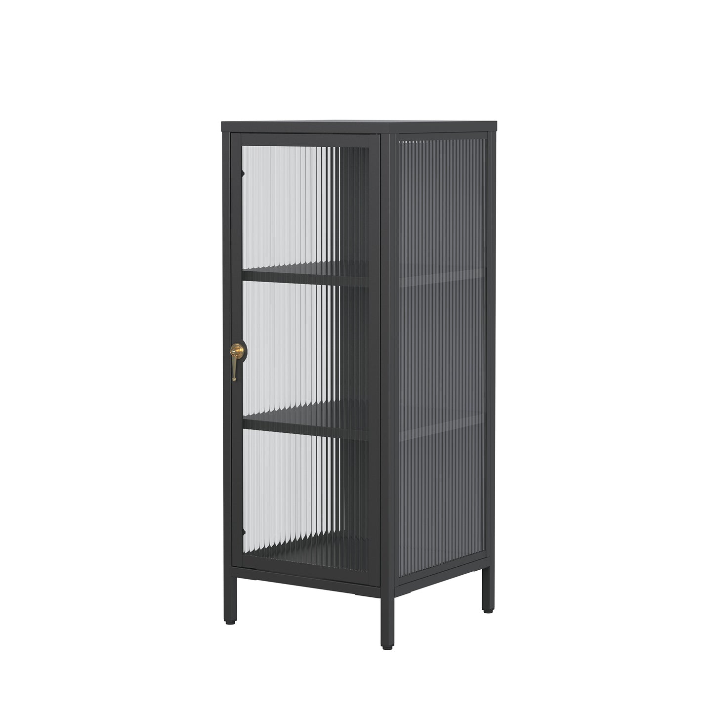 Benoite 40.02-inch Black One Door Storage Cabinet with Fluted Clear Door and Gold Handle