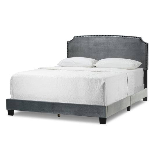Arezo Silver Grey Velvet Queen Bed with Black Nail Head Trim